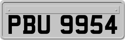 PBU9954