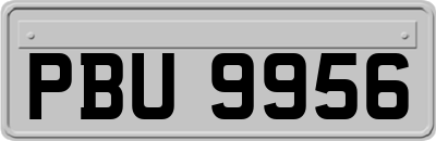 PBU9956