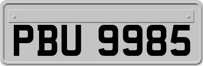 PBU9985