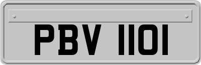 PBV1101