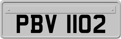 PBV1102