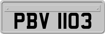 PBV1103