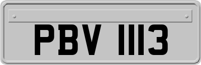 PBV1113