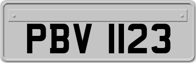 PBV1123