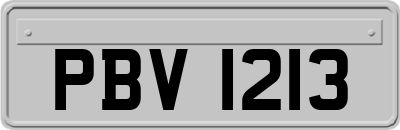 PBV1213