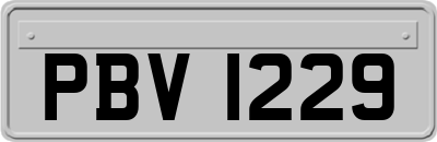 PBV1229