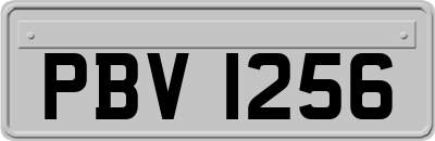 PBV1256