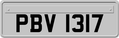 PBV1317