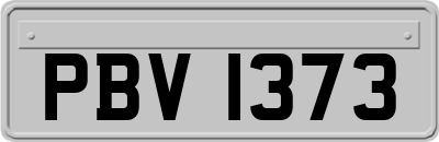 PBV1373