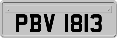 PBV1813