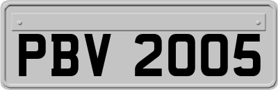 PBV2005