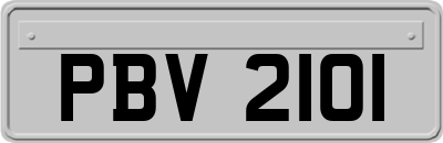 PBV2101