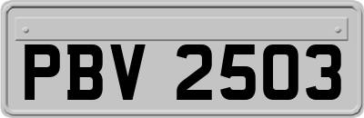 PBV2503