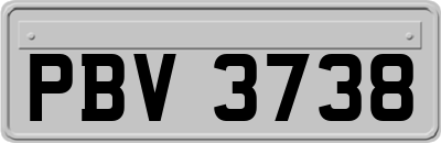 PBV3738