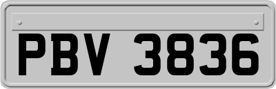 PBV3836