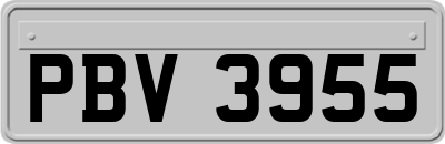 PBV3955