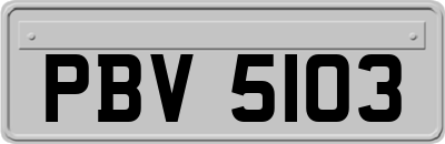 PBV5103