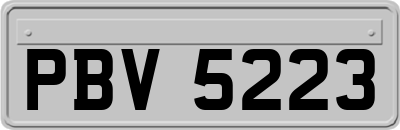 PBV5223