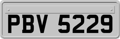 PBV5229