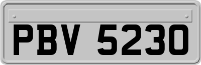 PBV5230