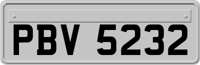 PBV5232