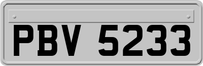 PBV5233