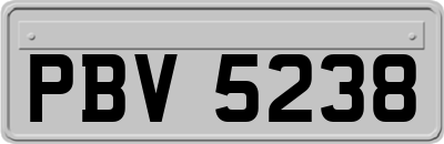 PBV5238