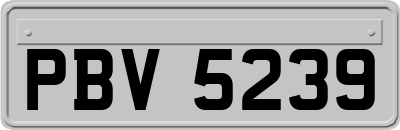 PBV5239