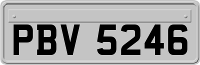 PBV5246