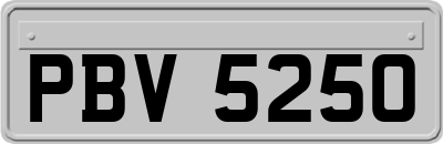 PBV5250