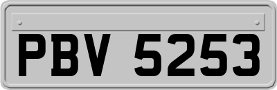 PBV5253