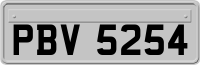 PBV5254