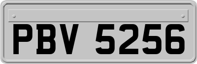 PBV5256