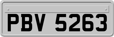 PBV5263