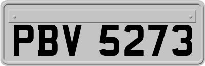 PBV5273