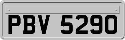 PBV5290