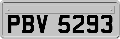 PBV5293