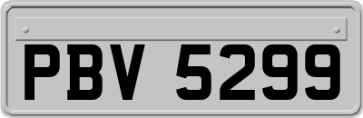 PBV5299