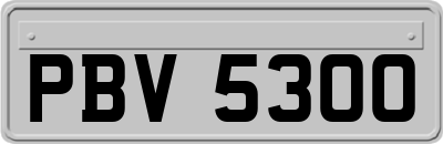 PBV5300