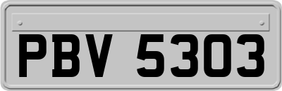 PBV5303