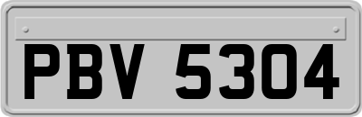 PBV5304