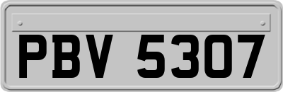 PBV5307