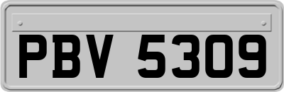 PBV5309