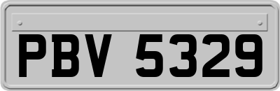 PBV5329