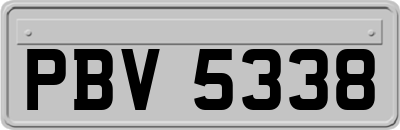 PBV5338