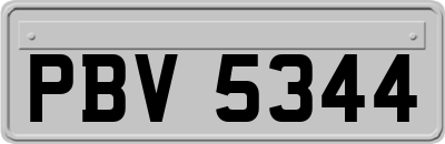 PBV5344