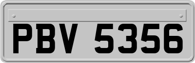 PBV5356