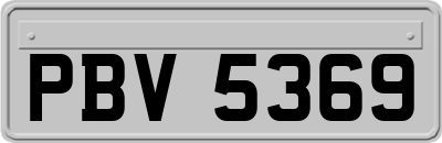 PBV5369