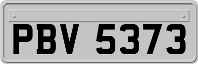 PBV5373