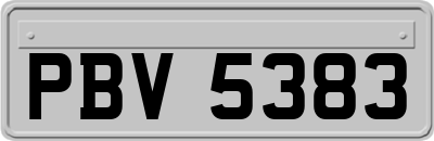 PBV5383